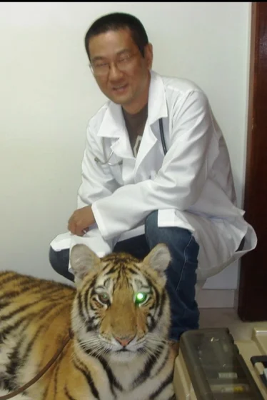 Eduardo Watanabe